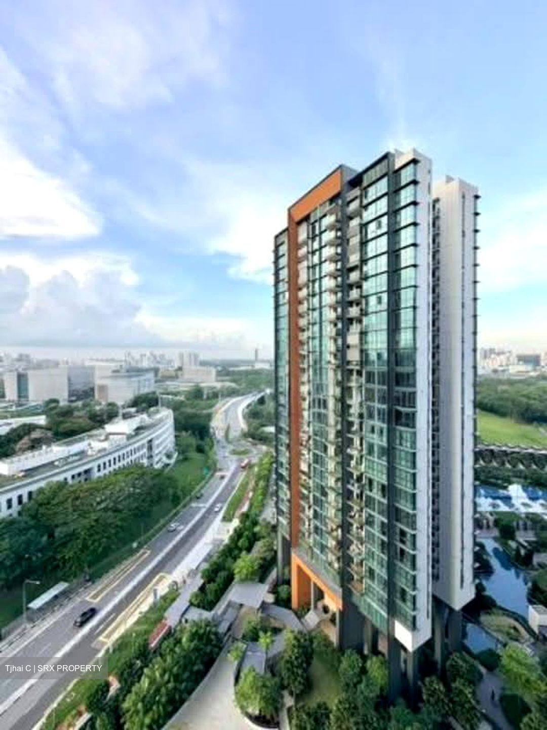 Normanton Park (D5), Apartment #555050491